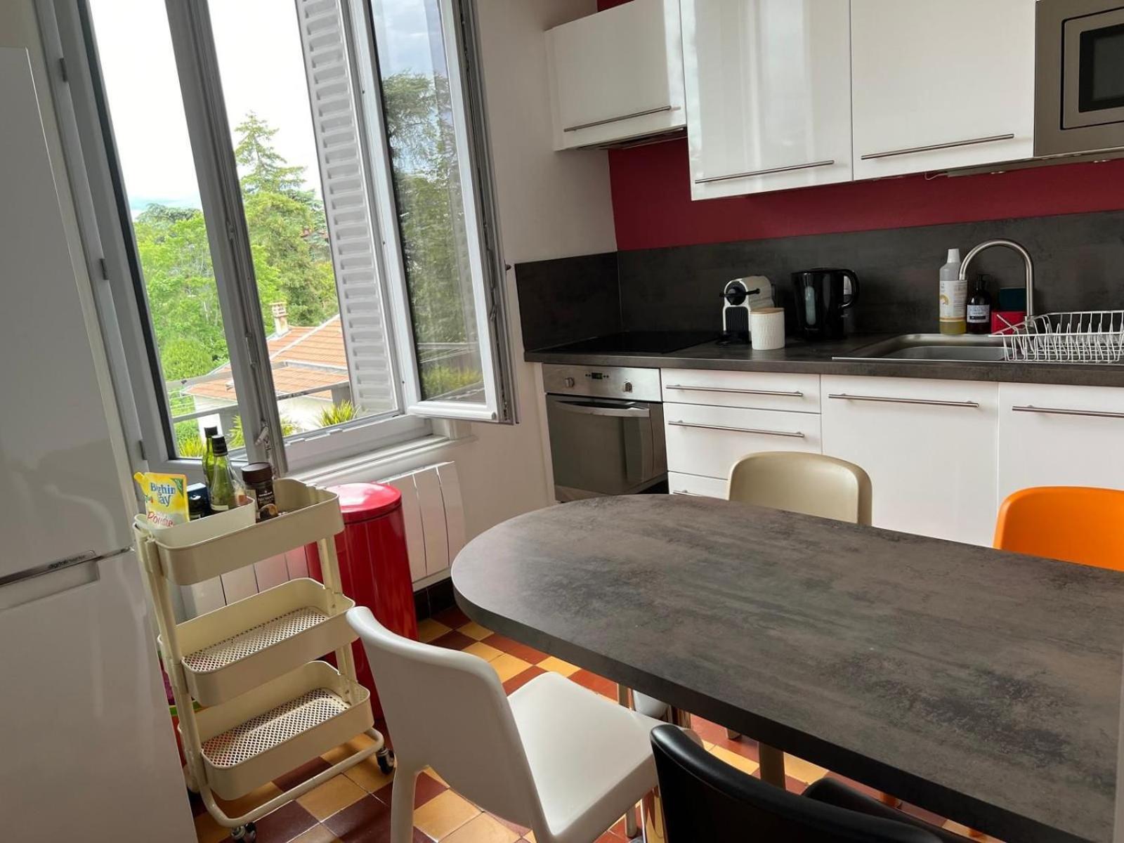 LA SUITE DES CÈDRES - T3 Lyon 3 Extérieur photo