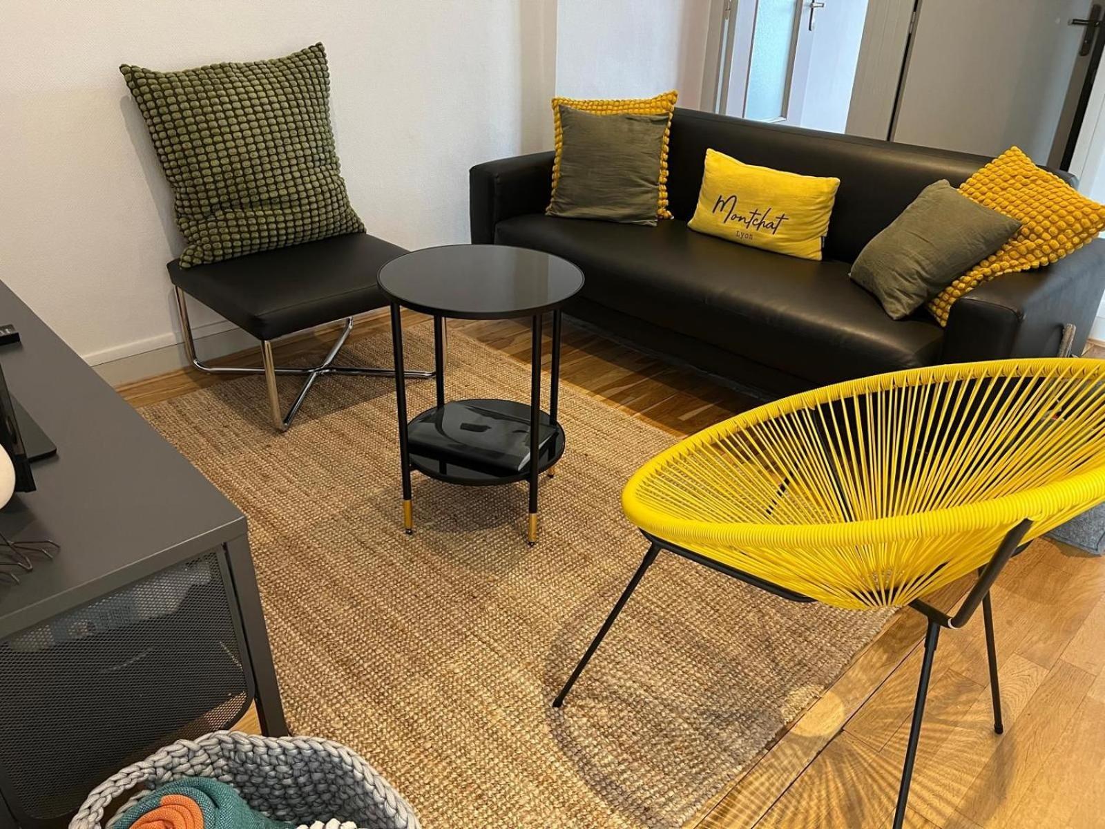 LA SUITE DES CÈDRES - T3 Lyon 3 Extérieur photo